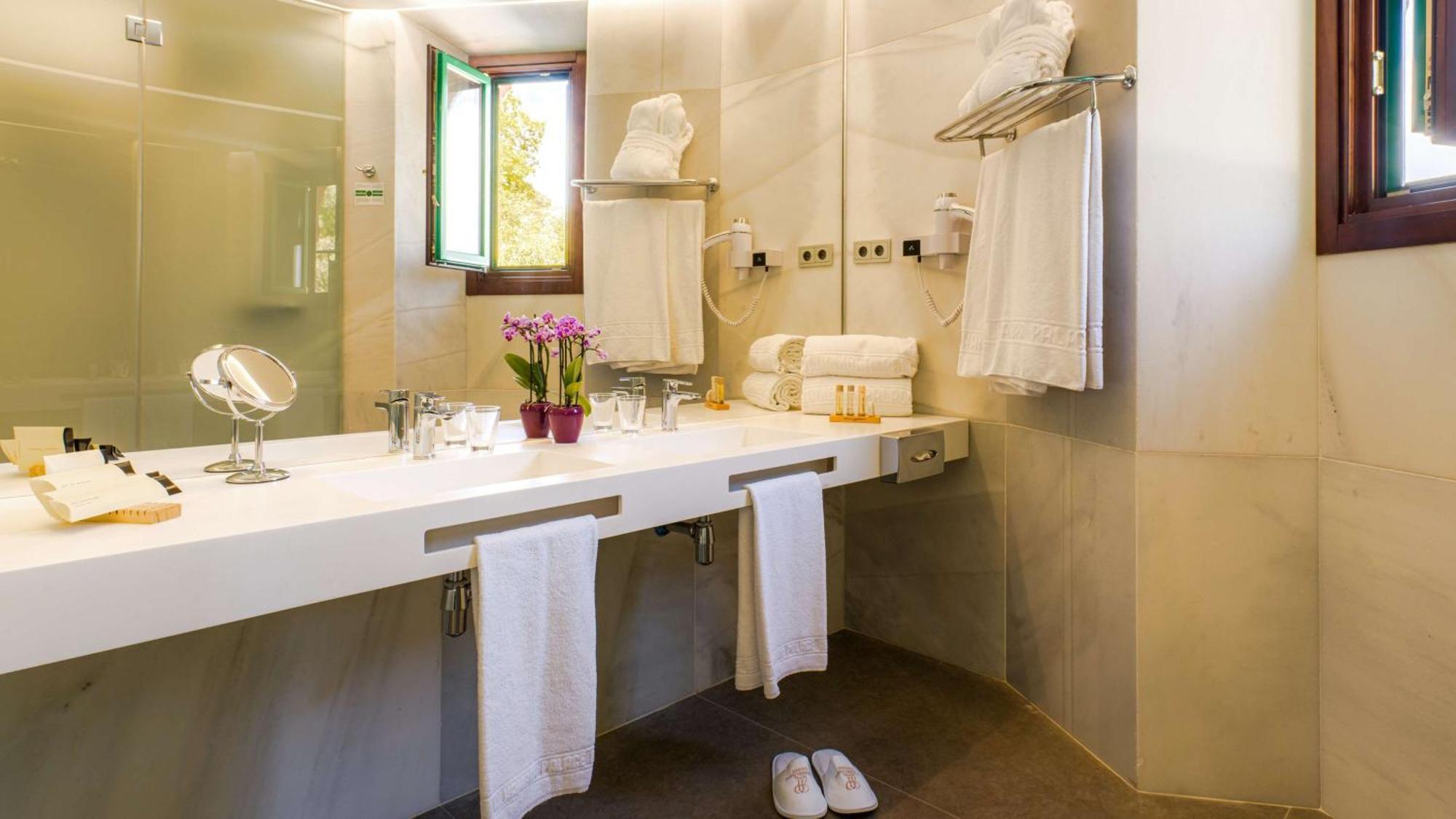Deluxe Twin Room Walk Shower Non-Smoking